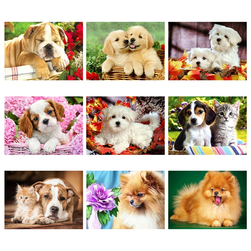 5D милая собака Алмазная картина полная Дрель Стразы картинки для украшения