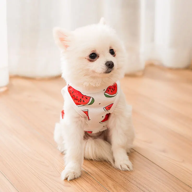 

Summer Pet Clothes Cat Dog T Shirt Dog Vest Puppy Clothing Chihuahua Corgi Maltese Poodle Schnauzer Yorkshire XS Dog Costumes