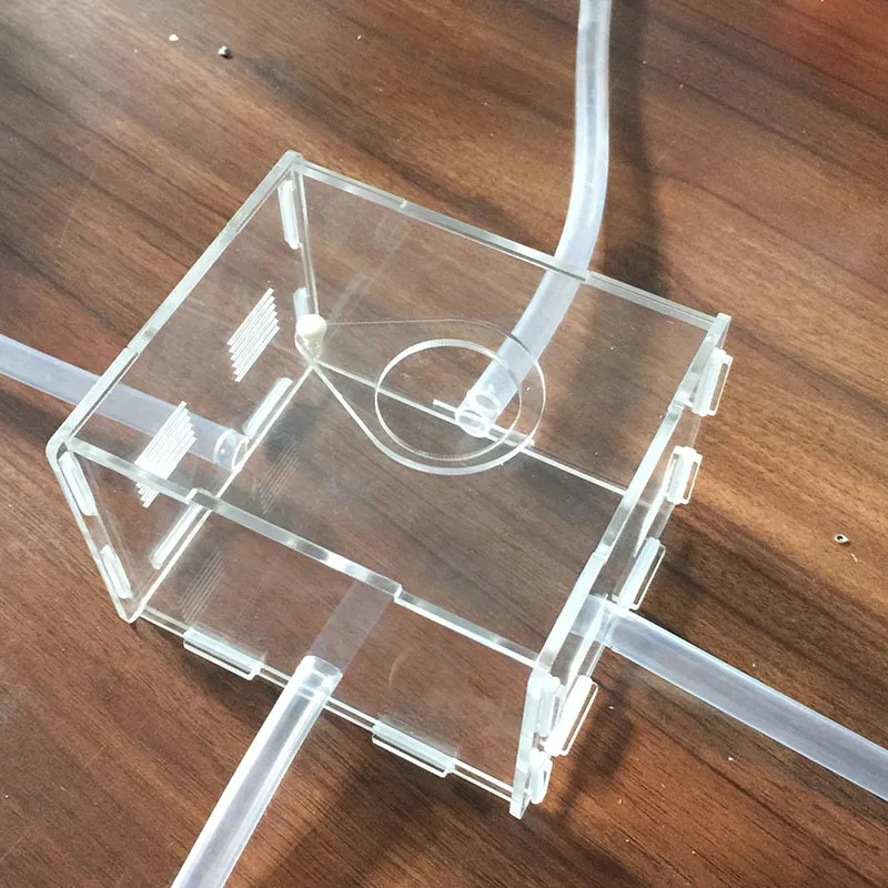 120*100*80 мм площадь действия муравьев акриловая муравьиная ферма прозрачный