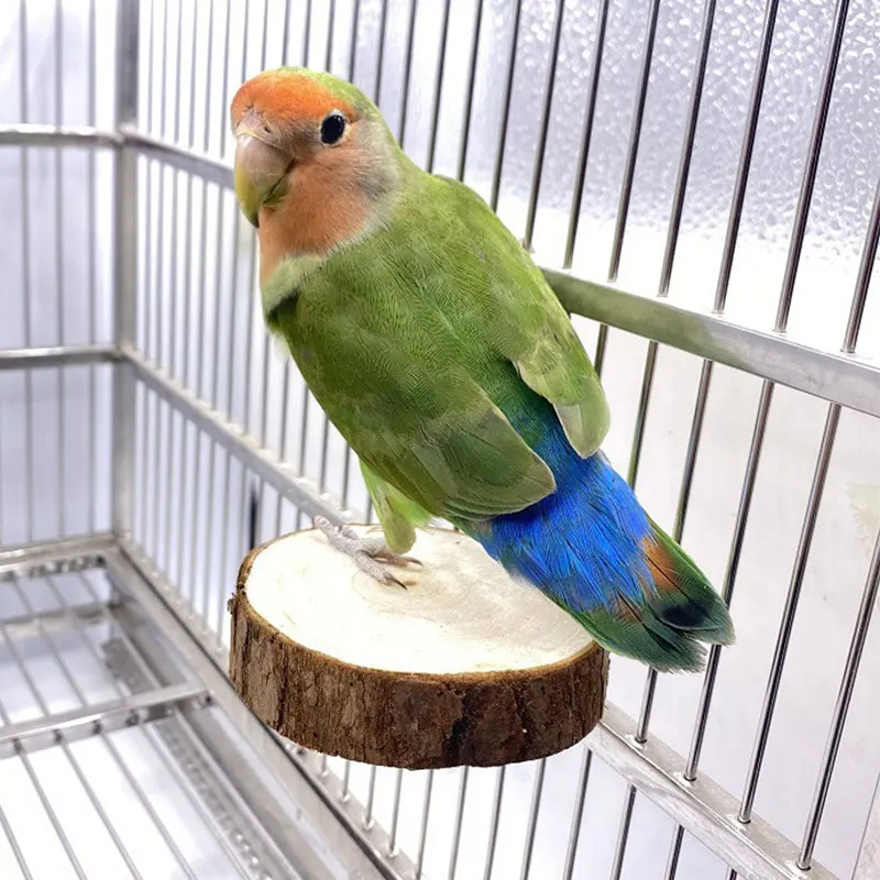 

Hot Sale Squirrel Chinchilla Hamster Crosscut Wooden Pier Springboard Parrot Platform Bird Platform Pet Supplies Durable