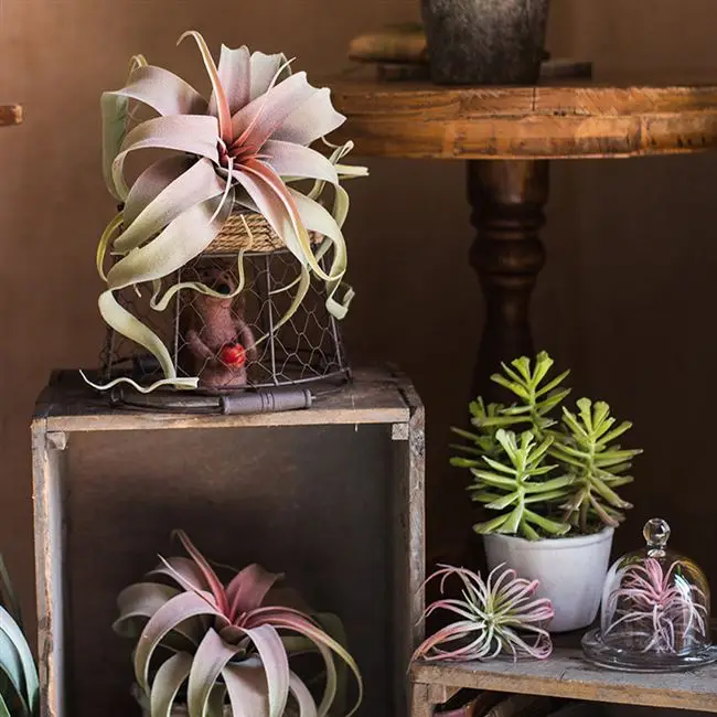 Искусственные цветы материалы для расположения цветов искусственный воздух