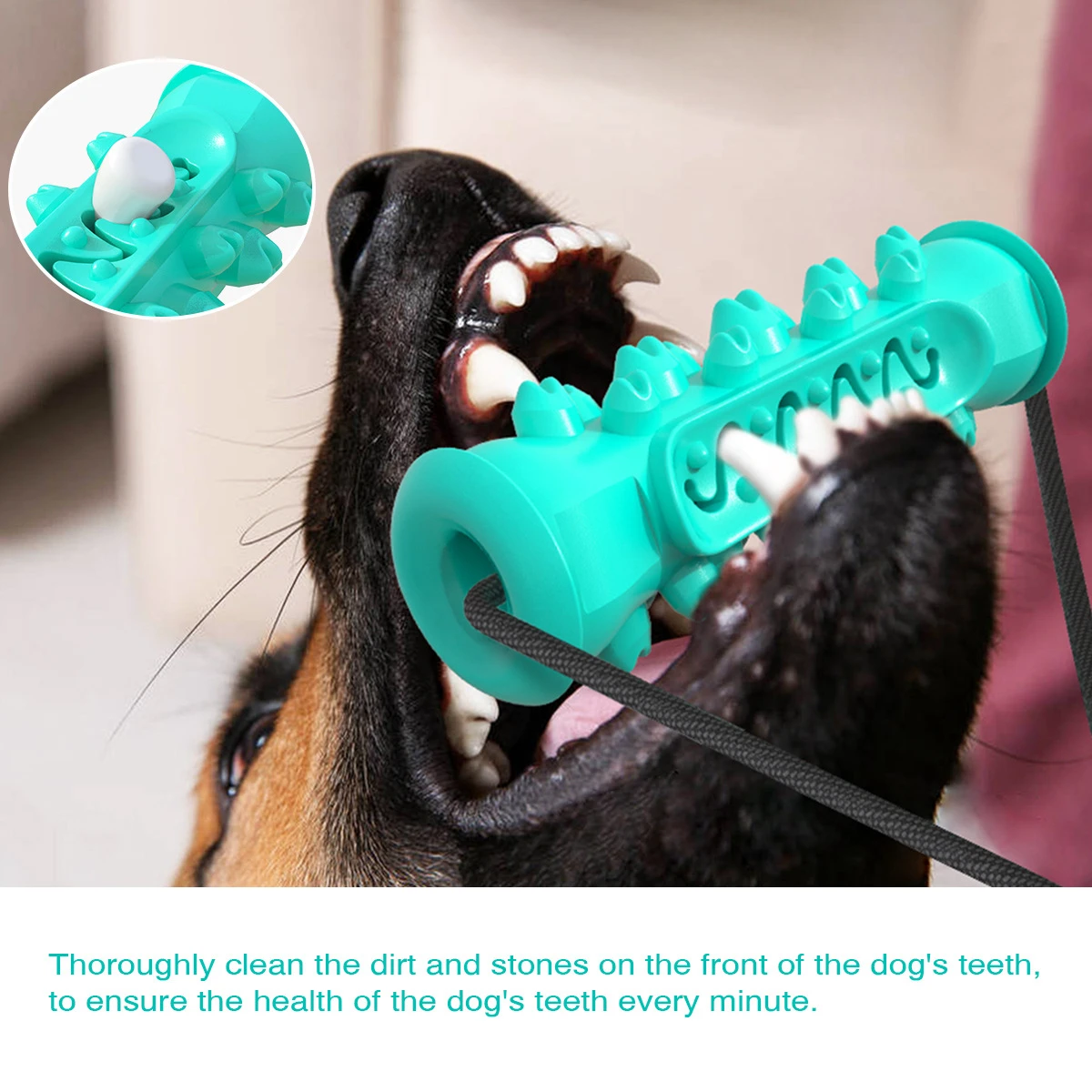 

Pet Molar Suction Cup Drawstring Tug of War Dog Toy Teething Stick