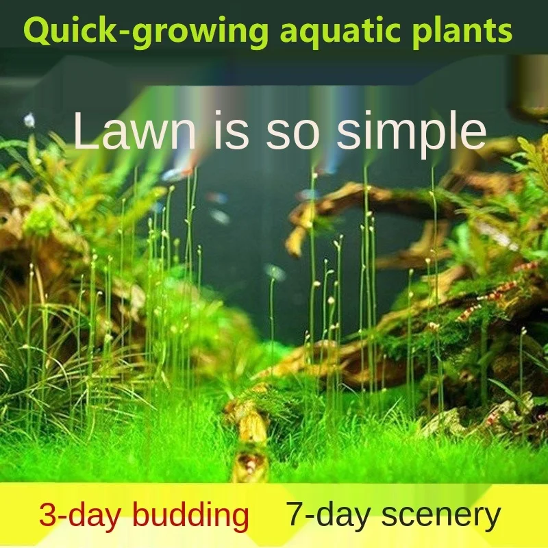 Aquarium decoration accessories Fish tank plants grass Simple operation and beautiful water purification | Дом и сад