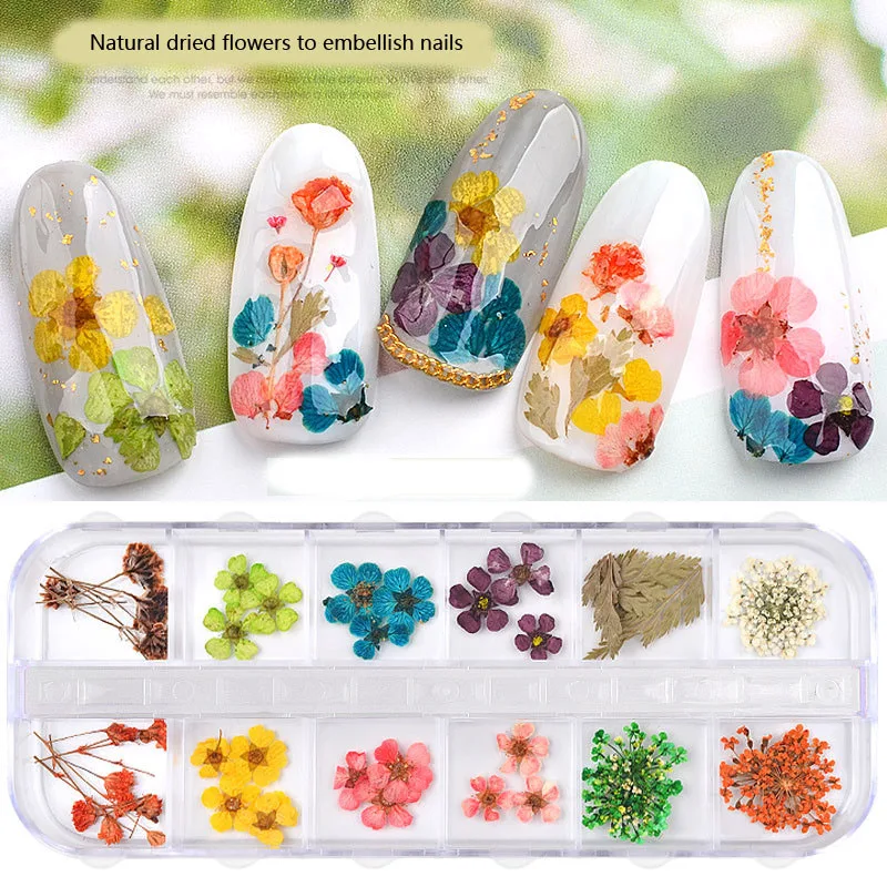 12 стилей сушеных цветов украшения для ногтей натуральные Цветочные наклейки 3D