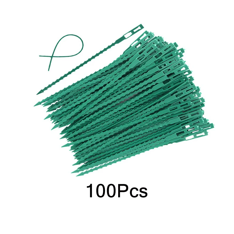 100Pcs za dai 50/100Pcs Садоводство лоза вьющиеся растения кабельные стяжки линии завод кронштейны Запчасти бонсай огурец винограда из ротанга поддерживает ZXH - Цвет: 100Pcs za dai