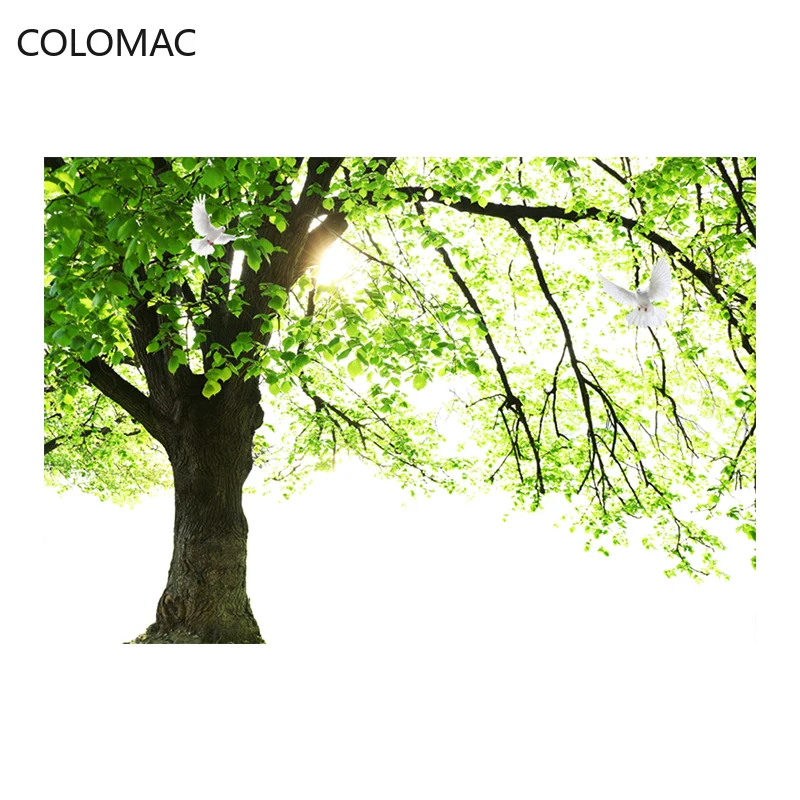 Colomac Custom Simple Living Room Background Wallpaper Green Tree Forest Landscape 3D Large Mural Decorative Paper Dropshipping |