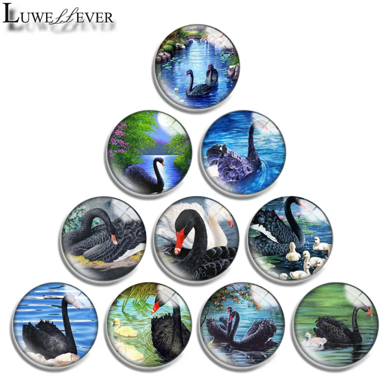 

12mm 14mm 16mm 20mm 25mm 30mm 668 Black Swan Mix Round Glass Cabochon Jewelry Finding 18mm Snap Button Charm Bracelet