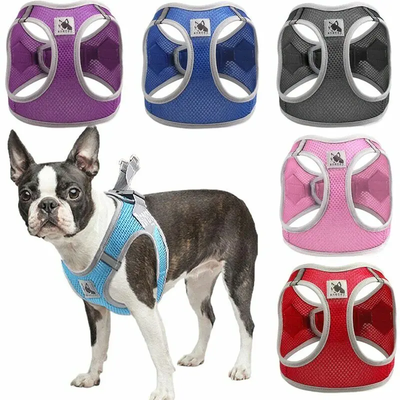 

Pet Dog Leash Summer Breathable Chest Harness Dog Leash Dog Harness Vest Supplies