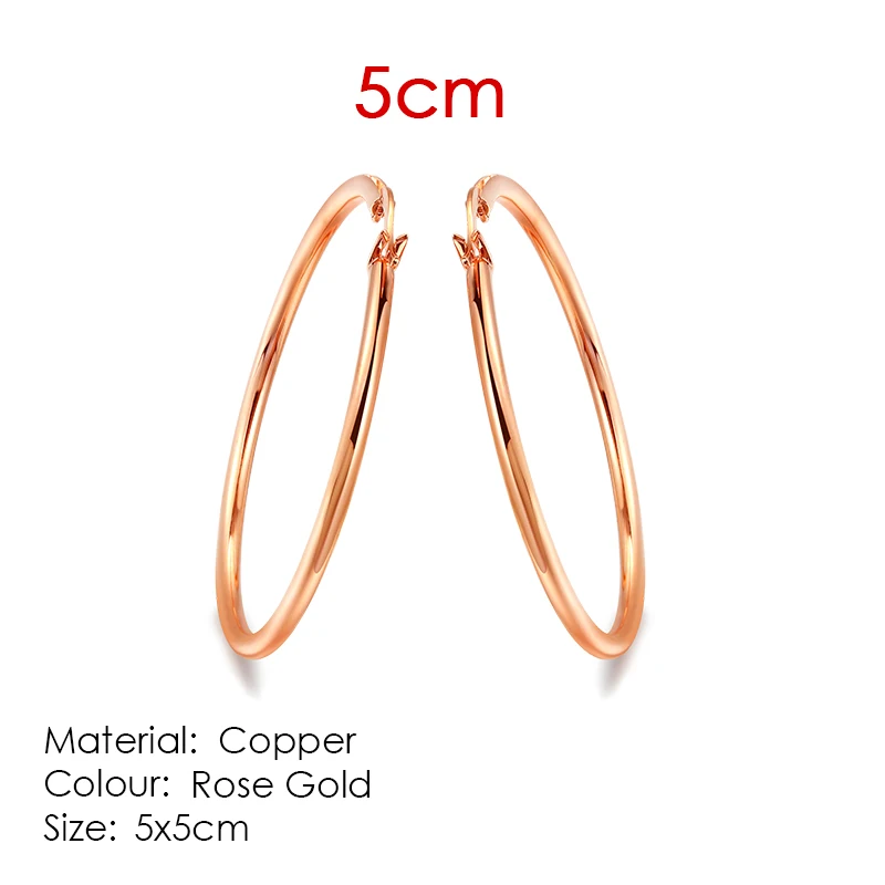 Серьги-кольца для женщин, большой круг, классический стиль, различные размеры, розовое золото, цвет, модное ювелирное изделие E093 - Окраска металла: E003