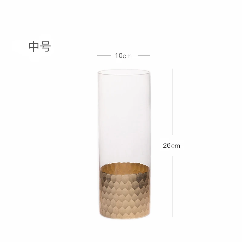 

Transparent Glass Plant Vase Table Creative Design Minimalist Flower Vase Living Room Nordic Decoration Maison Home Decor DF50HP