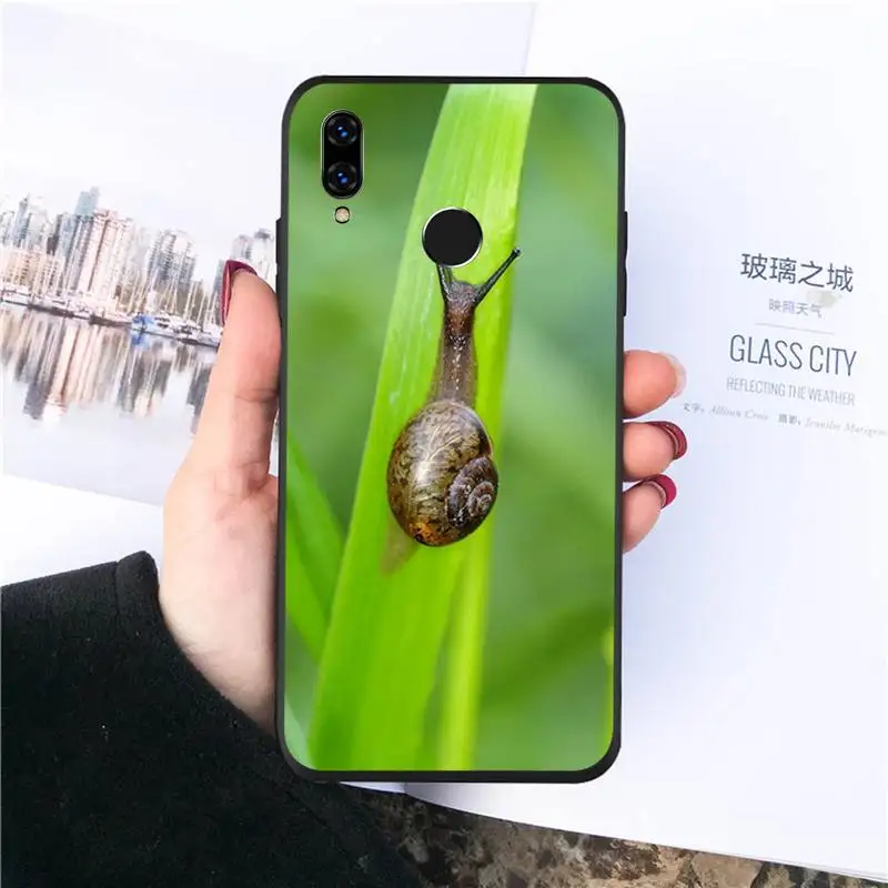 

snail animal pattern Phone Cases For Huawei honor Mate P 10 20 30 40 Pro 10i 9 10 20 8 x Lite Luxury brand shell funda coque
