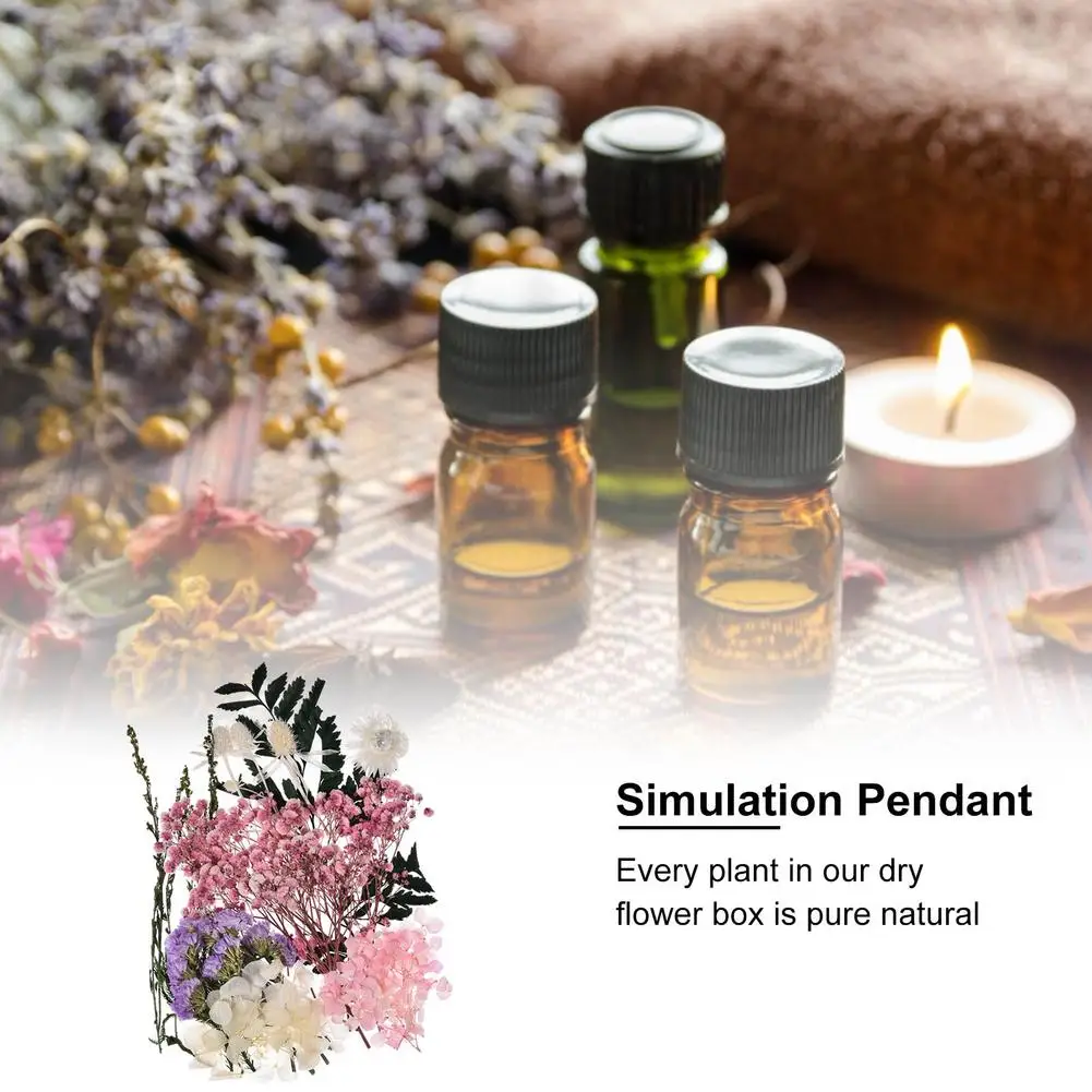 Сушеные прессованные цветы сушеные листья россыпью для самостоятельного