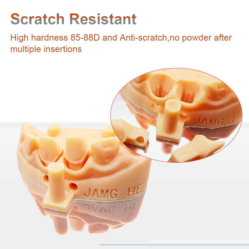 JAMGHE  Restoration Teeth  Model Low Shrinkage Resin Scratch Resistant 3d Printer resin