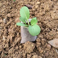 200 pieces of 8cm 10cm biodegradable non woven seedling bag white environmental protection flower planting bag seedling pot