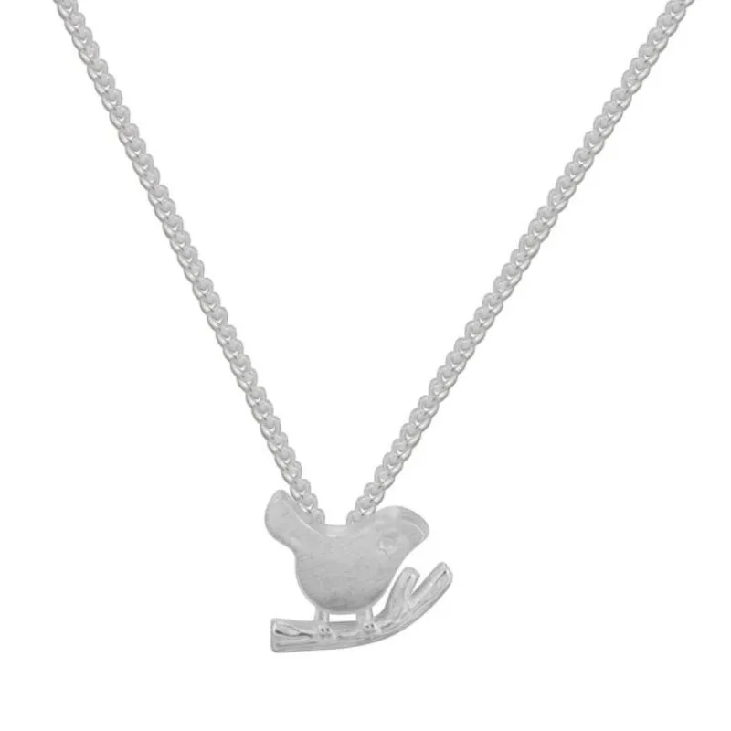 

New Popular Animal 925 Sterling Silver Jewelry Not Allergic Exquisite Personality Birds Clavicle Chain Pendant Necklaces H98