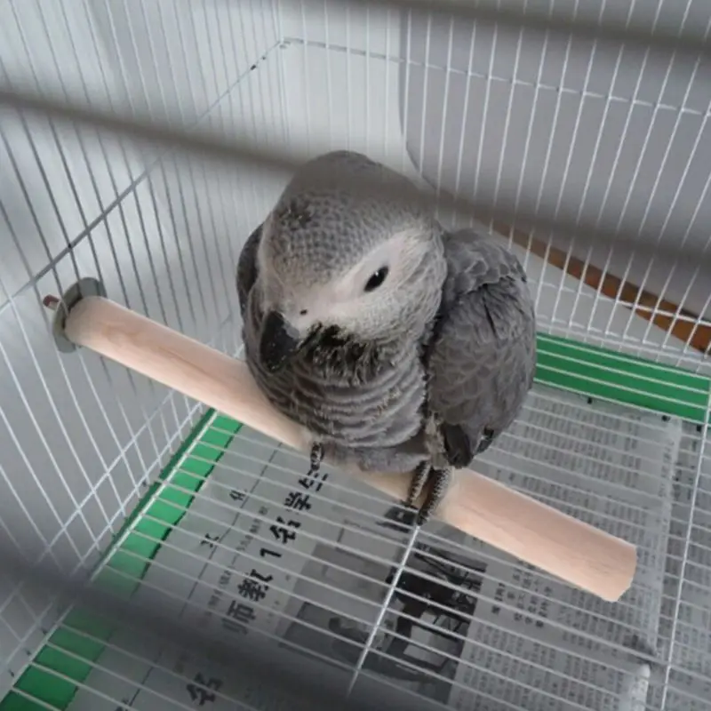 15 шт./компл. попугая деревянные качели жевательные игрушки подвесная стойка для