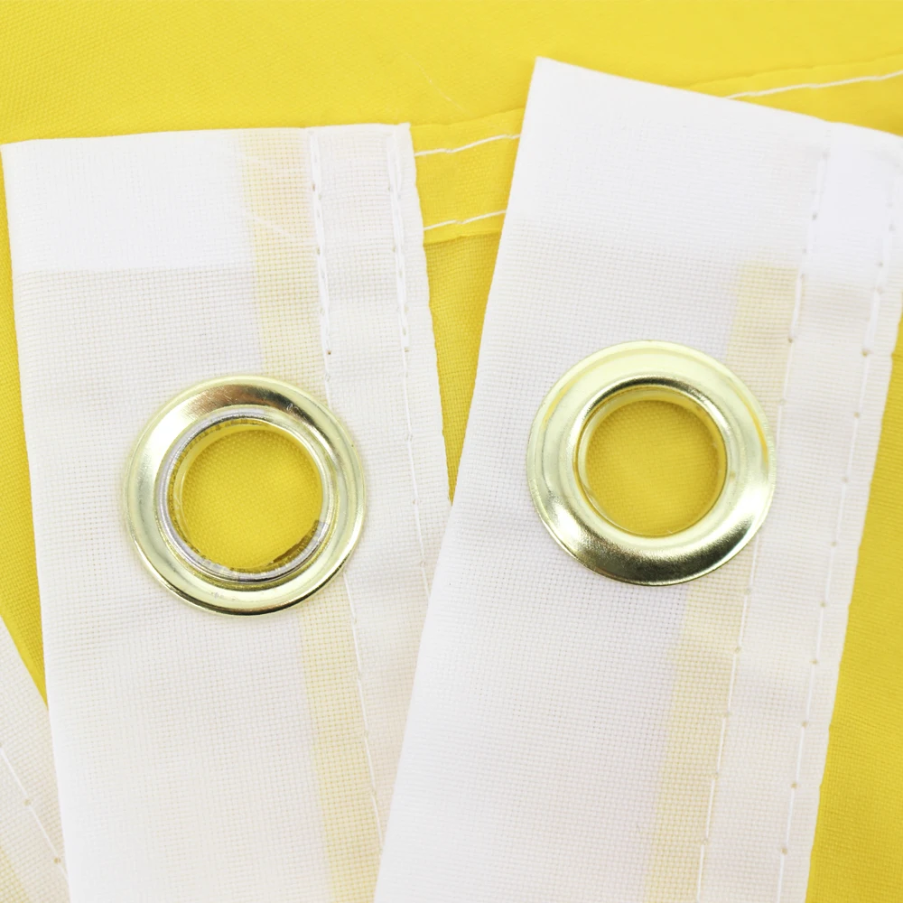 60x90cm 90x150cm Vatican Flag For Decoration | Flags