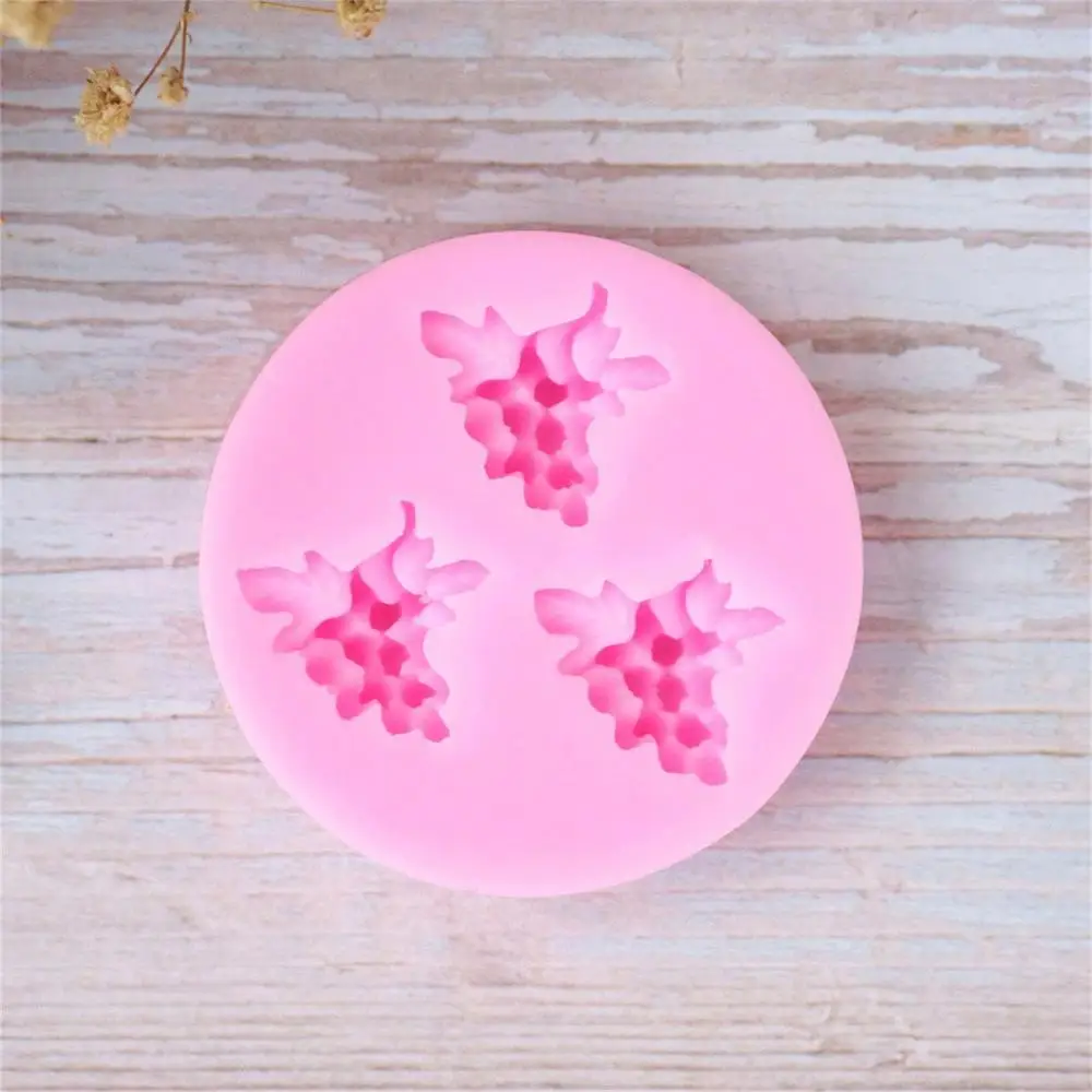 Виноград изюм фруктовый лист Урожай форма природа ферма объемные силиконовые