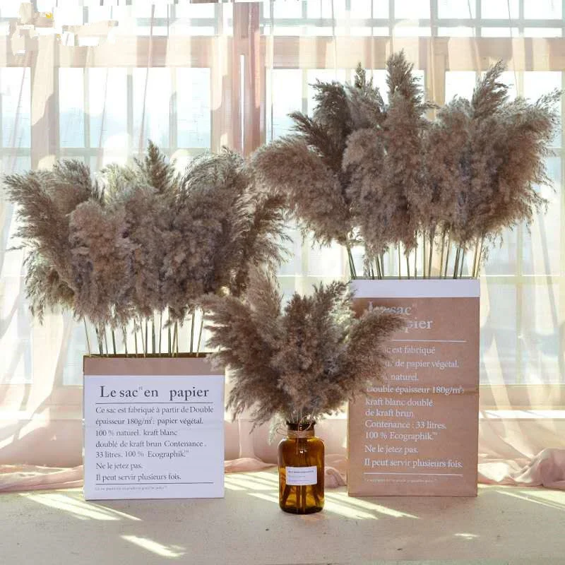 

20 Pcs Natural Pampas Grass Big Reed Bouquet Hay for Wedding Bouquet Bohemian Home Decoration Country Room Decora Birthday Gift