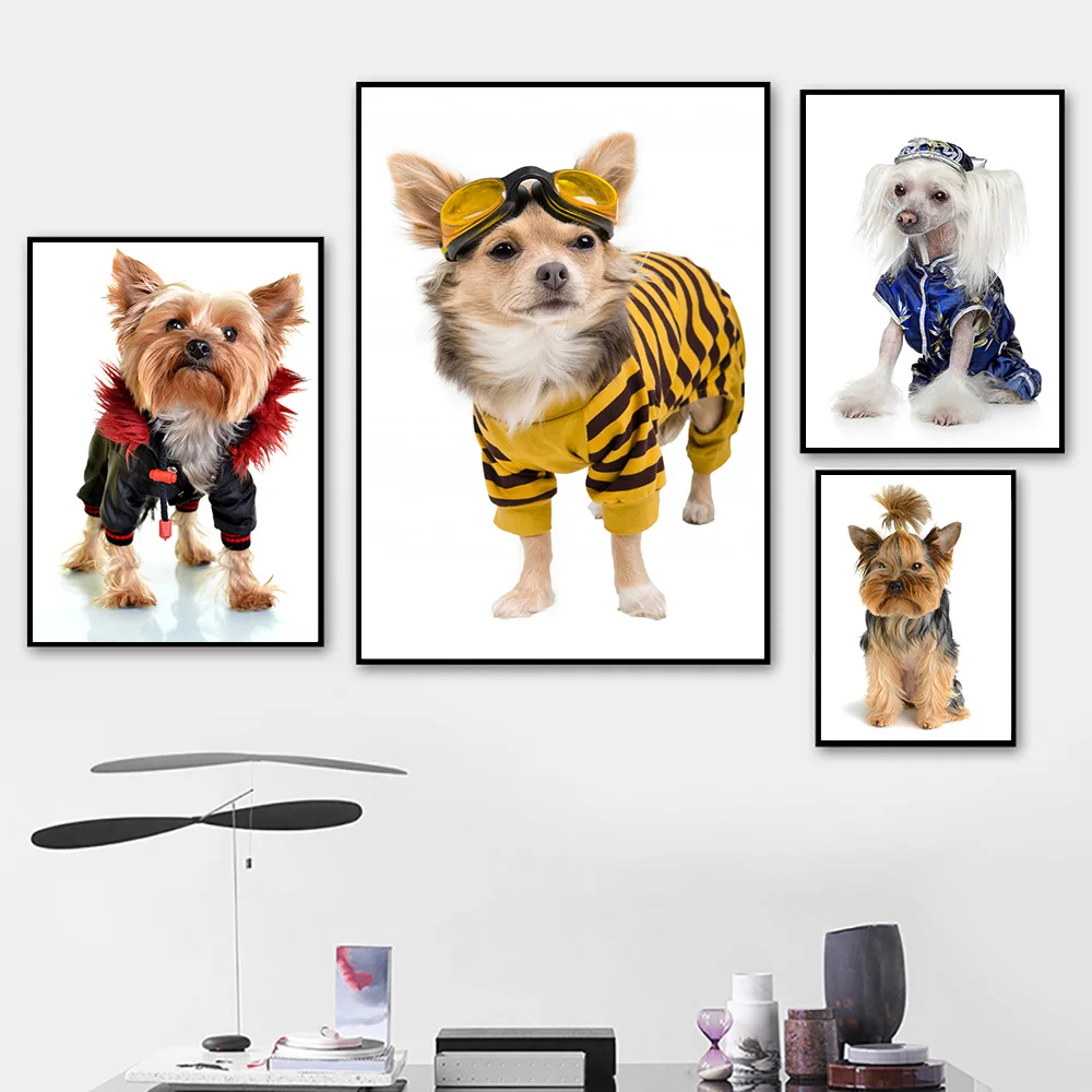 Дети младенческой малыш предназначенной для ребенка ясельного возраста