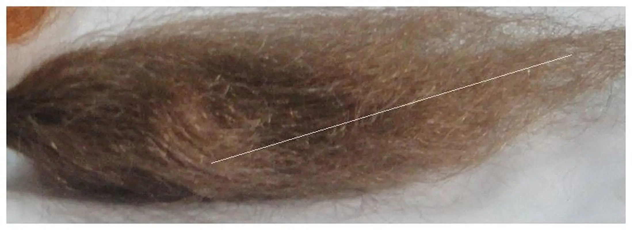 

Hand Made Wig for DIY Baby Mohair Doll Hair Reborn with Dark Brown Fit