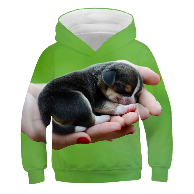 

Boys And Girls Hoodie Sweater Galaxy Lion Swan Dolphin Print Fashion Baby Clothes 4-13 Years Old