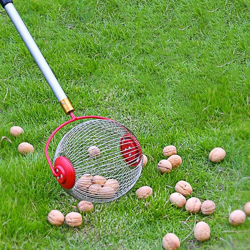 Nut Gatherer Fruit Collector Garden Rolling Harvester Picker Without Telescoping Pole for Picking up Walnut Chestnut |