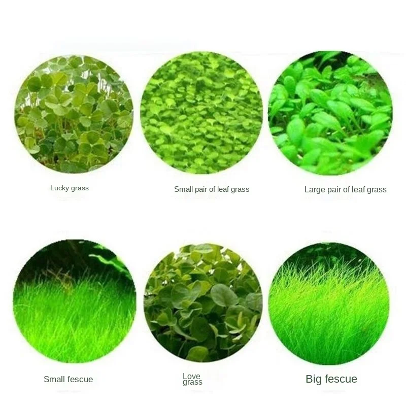 Aquarium decoration accessories Fish tank plants grass Simple operation and beautiful water purification | Дом и сад