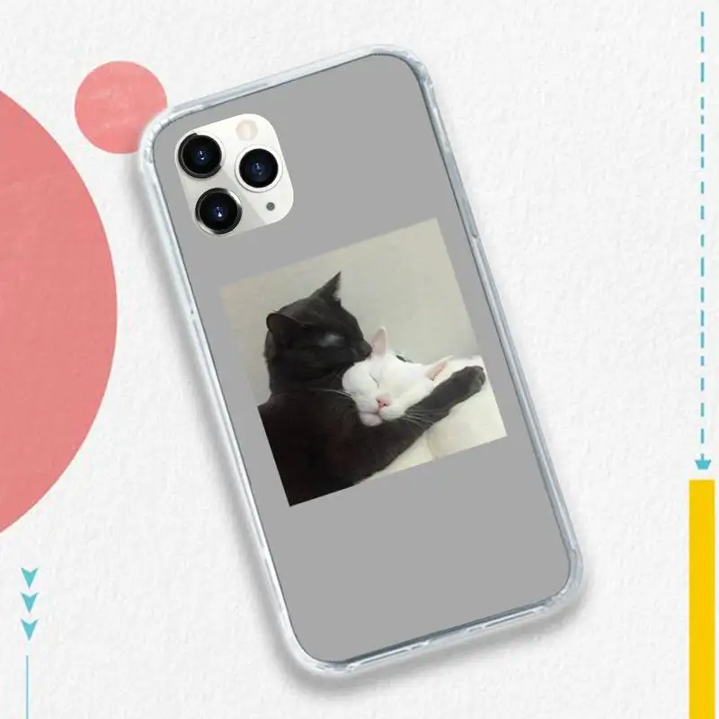 

Cute cat puppy pet Phone Case for iPhone 11 12 pro XS MAX 8 7 6 6S Plus X 5S SE 2020 XR