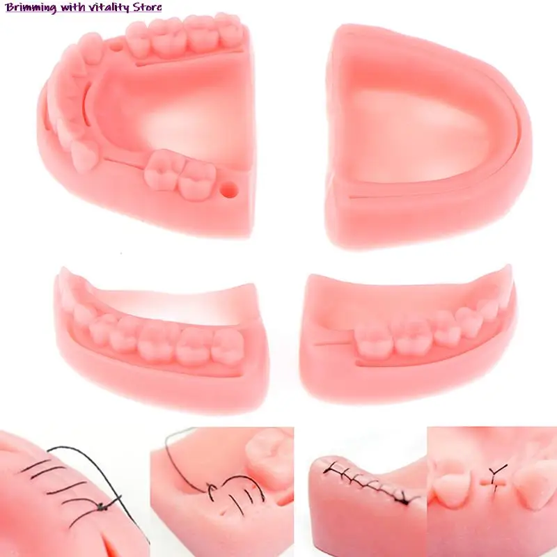 

4pcs Dental Simulation oral suture model Gum suture teaching training equipment