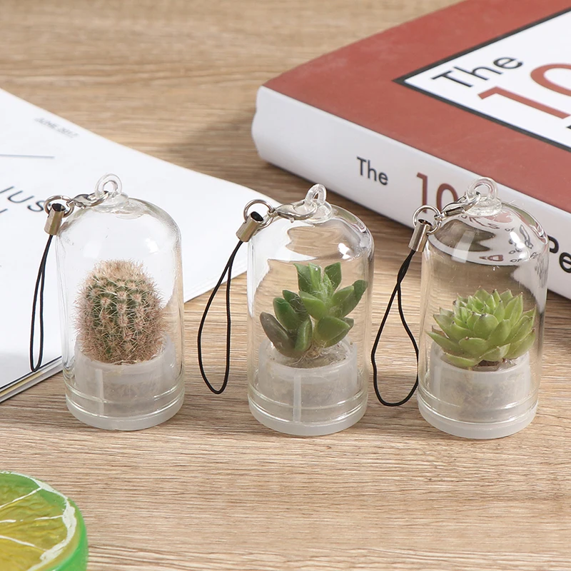 

1PC Wearable Keychain Necklace Plant Sent Random Cute Cactus Miniature Succulent Cacti