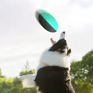 Товары для домашних животных собаки интерактивные вокальные игрушки утечка еды