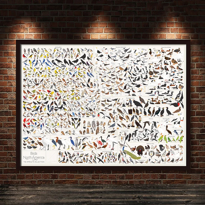 Холст для живописи печать скандинавский HD модульная фотографии птиц в саду видов