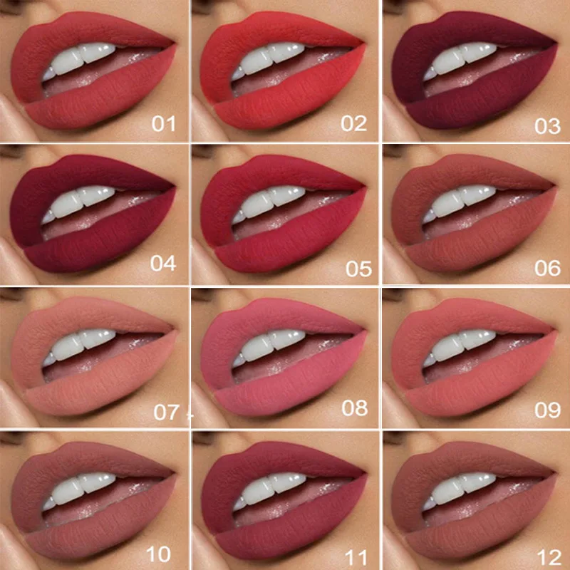 

12 Shade 1PC Waterproof Lipstick Matte Pumpkin Color Finished Matte Lipstick Cosmetics Maquillajes Para Mujer Rouge A Levre