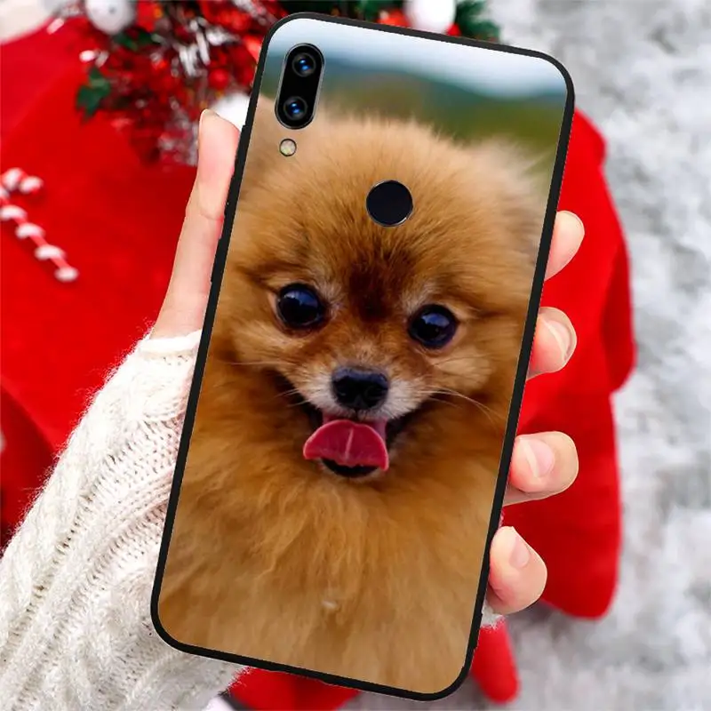 

Pomeranian Pomcute dog high quality Phone Case coque For Xiaomi Redmi note 7 8 9 t k30 max3 9 s 10 pro lite