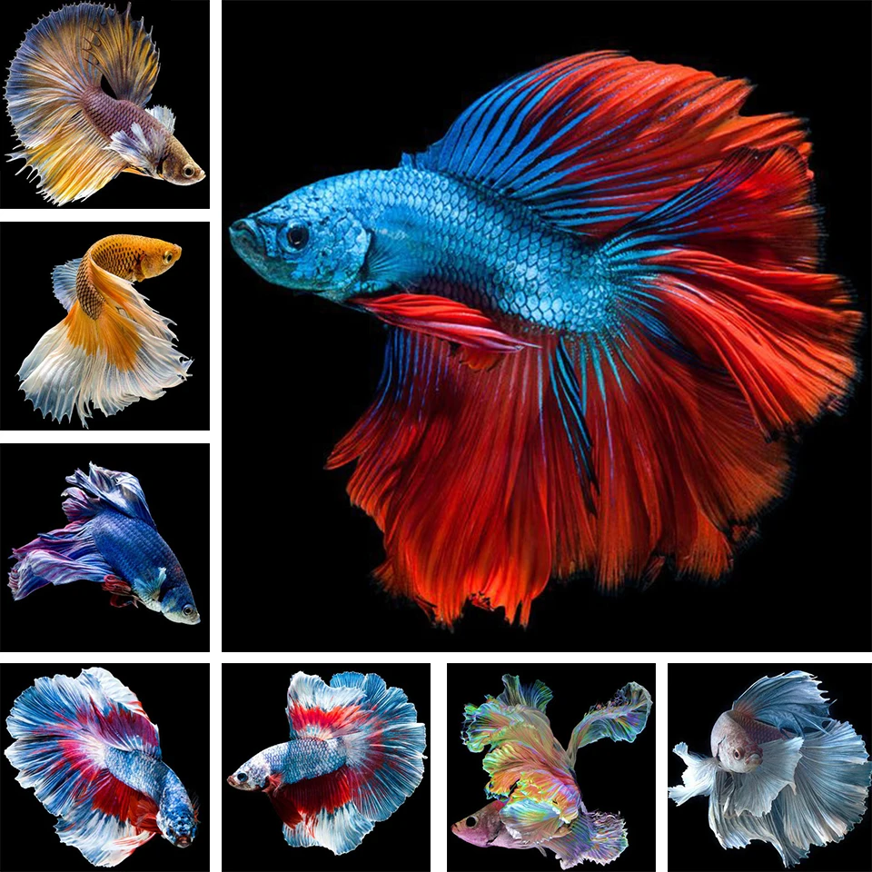 

5D DIY Diamond Painting Animal Color Goldfish Rhinestone Art Picture Full Diamond Embroidered Mosaic Gift Home Decoration Kit