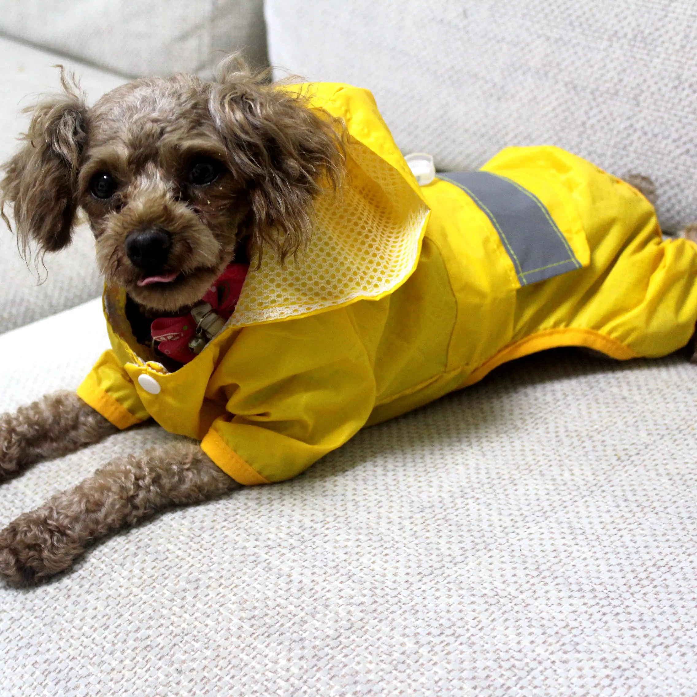 TOMEPETS плащ для домашних животных с капюшоном Собака дождевик Водонепроницаемый