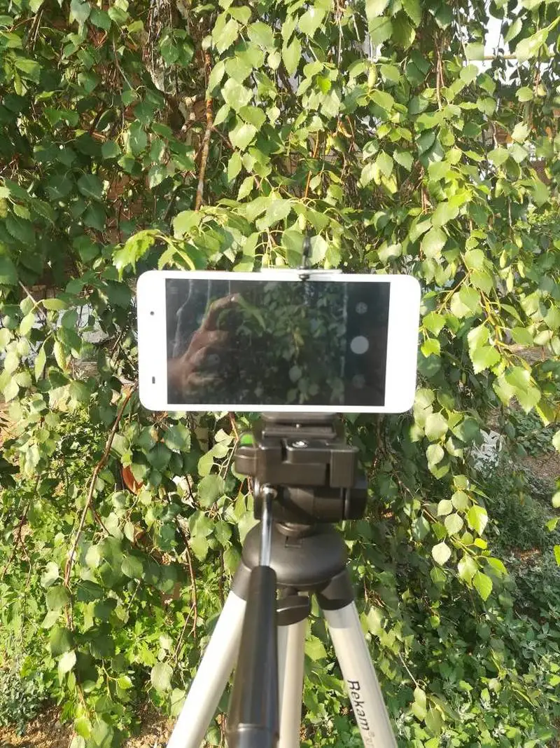 Штатив для камеры адаптер смартфона iPhone | Электроника