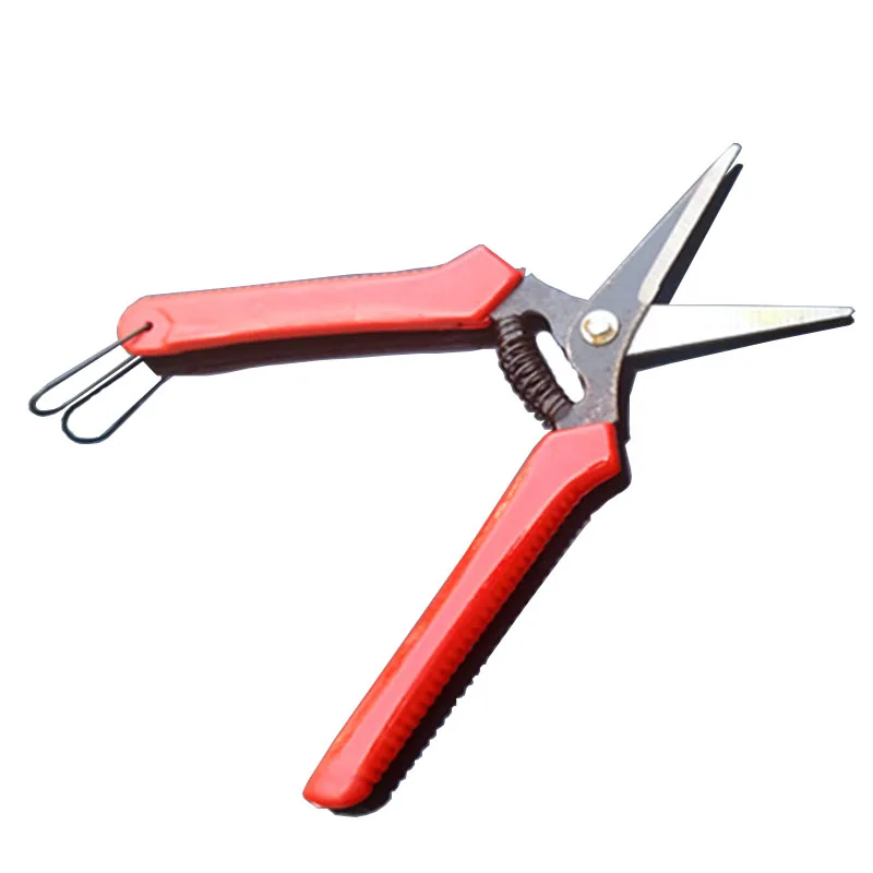 Высокое качество бытовой прямой садовый горшок ремонт ножницы виноград