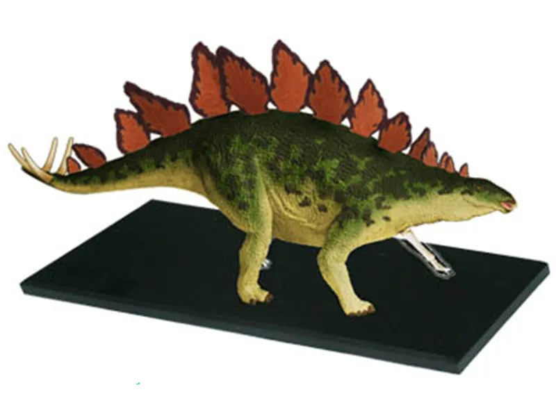Stegosaurus 4d мастер головоломка сборная игрушка животная биология динозавр орган