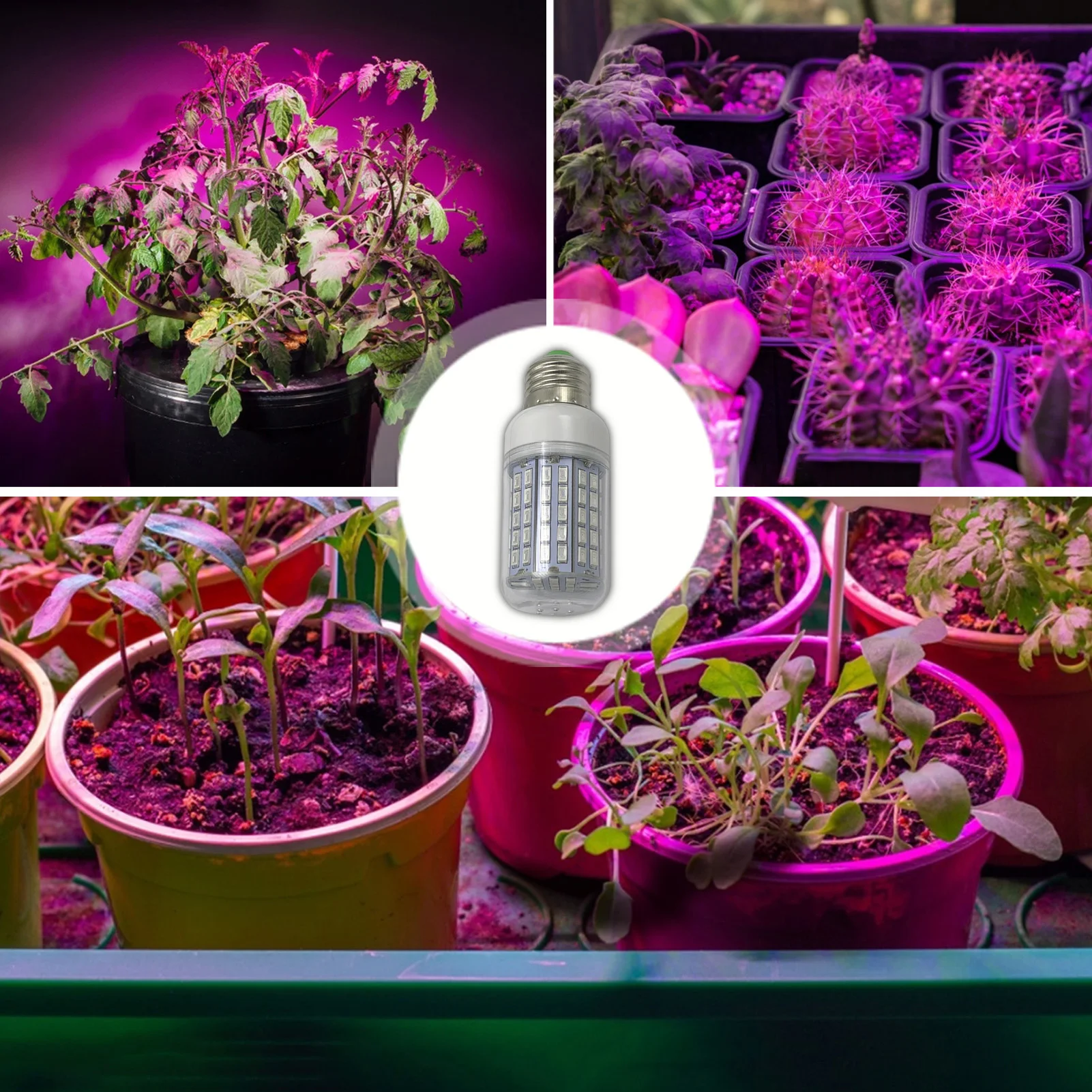 Led Plant Corn Bulb E27 96 Beads 5730 Plant Growth Light Succulent Plant Fill Light Led Grow Light Led Grow Bulb