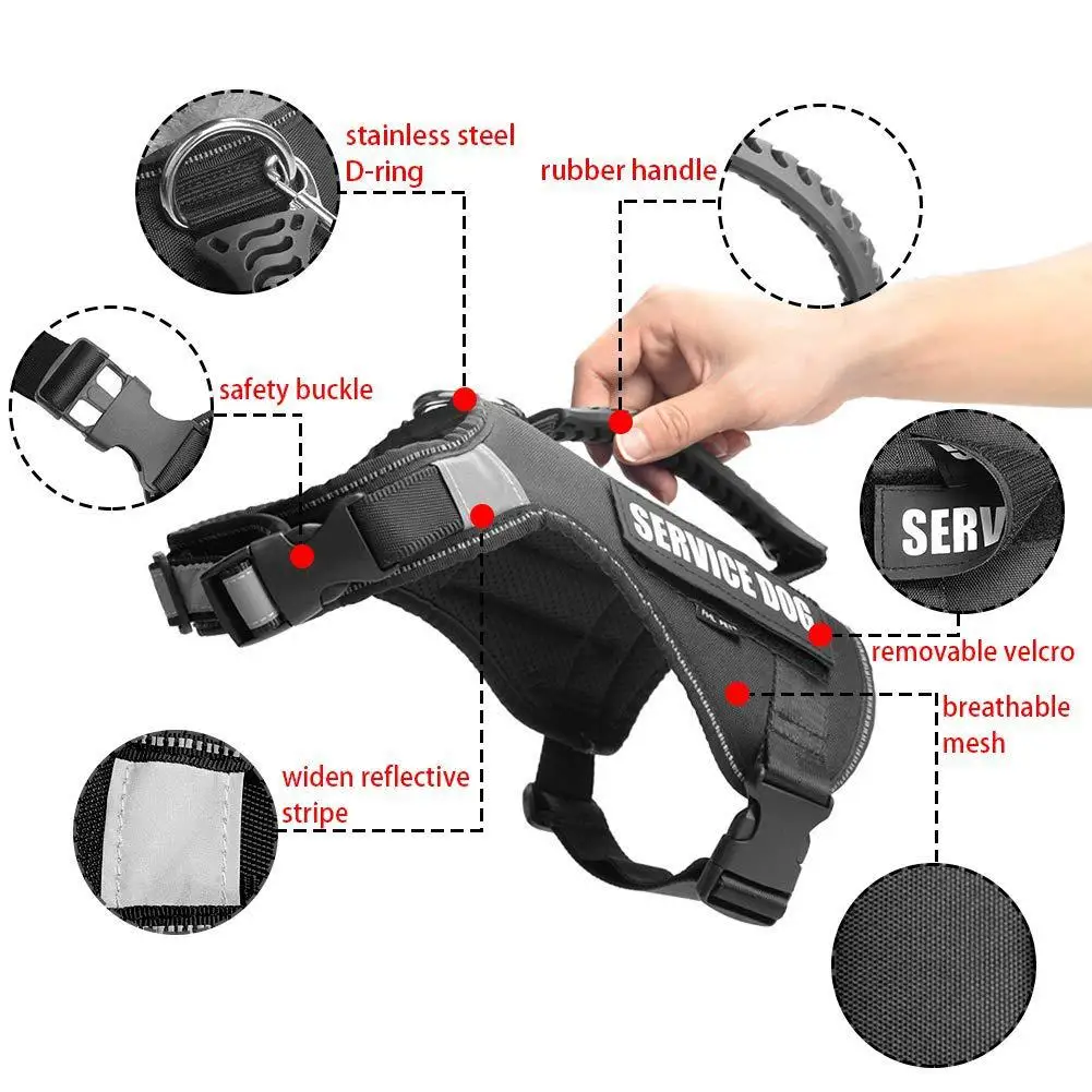 Studyset красная сервисная шлейка для собаки домашнего животного прогулок на