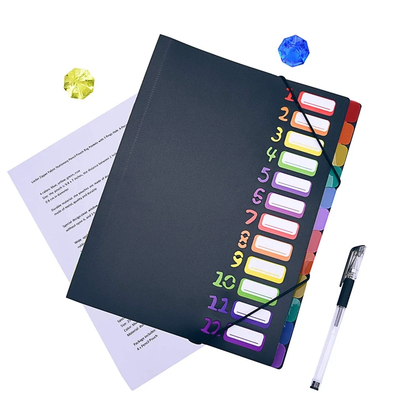 Папка для хранения бумаги формата А4 12 карманов Переливающаяся | Канцтовары офиса