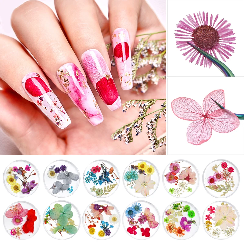 Смешанные сушеные цветы украшения для ногтей натуральные Цветочные наклейки в