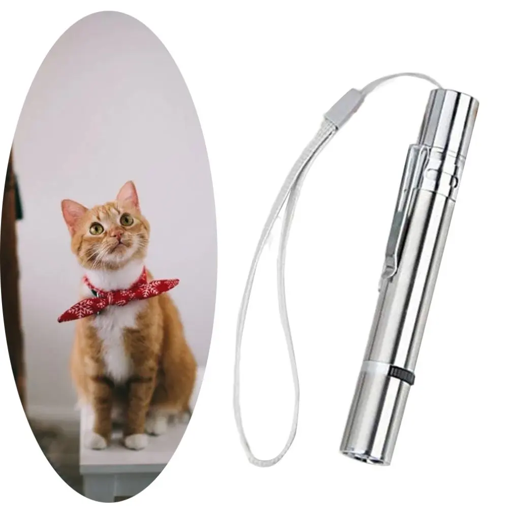 

Stainless Steel Funny Cat Stick With Rope USB Rechargeable LED Red Light Pointer Pen Cat Training Tools