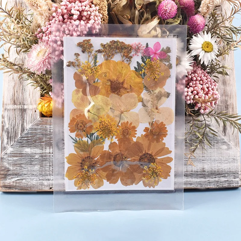 

5Pcs Crystal Epoxy Mold Embossing DIY Flower Dry Epoxy Filler Pack