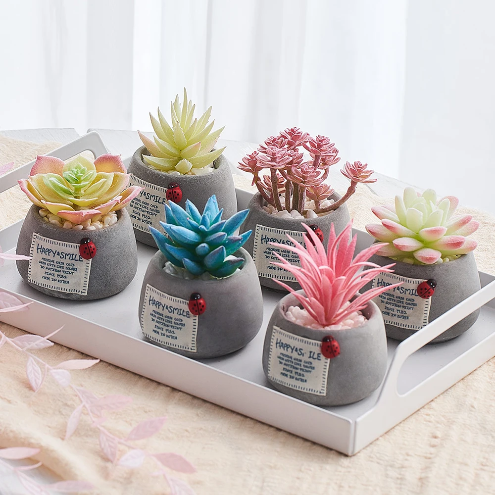 Суккуленты в горшке растения керамика мини бонсай с горшками цемент