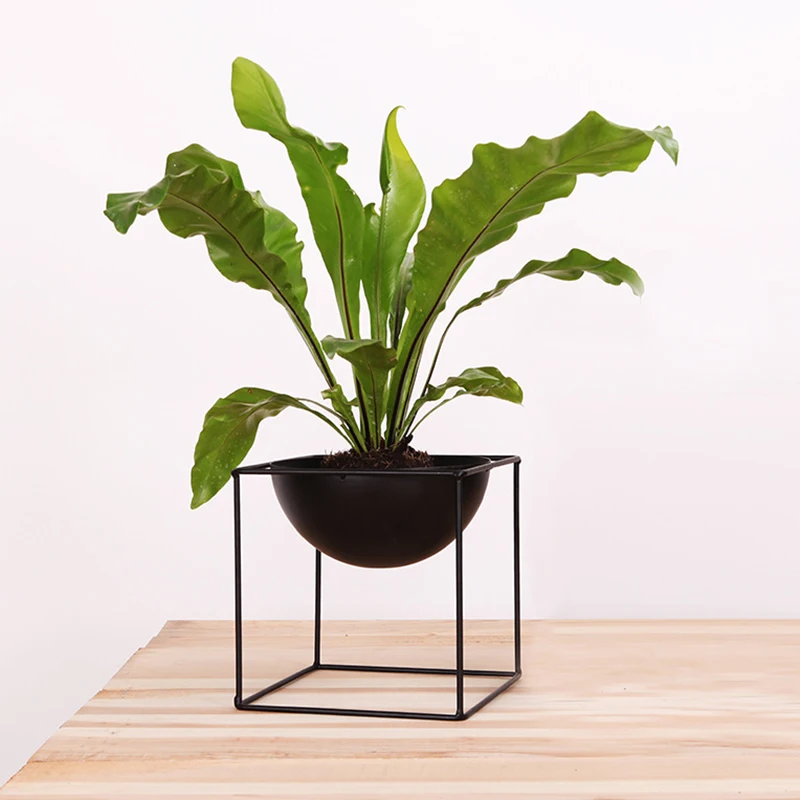 Горячая Распродажа чёрный Настольный водостойкий металлический Цветочный