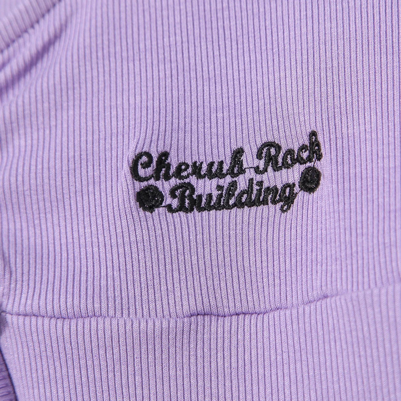 

Artistic Letters Embroidered Streamer Decoration Cotton T Shirt Tops Girl Preppy Style Spring Streetwear Women Long Sleeve Tops