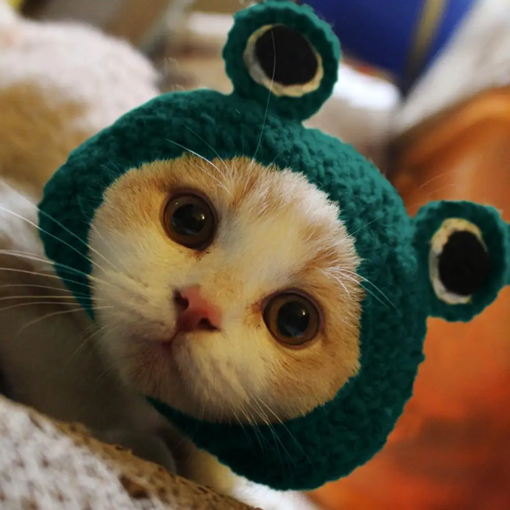 

Cute Handmade Dog Cat Hat Costume Caps Animal Head Party Decor Pet Accessory